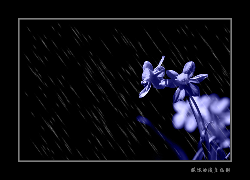 听雨~ 摄影 朦胧的淡蓝