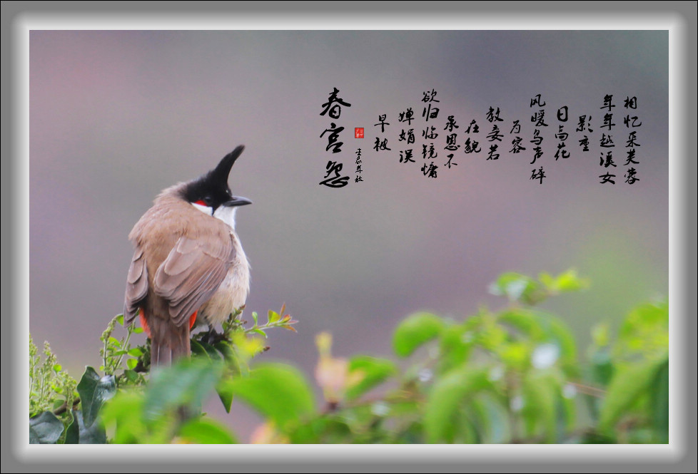 春分景象 摄影 广东梁少