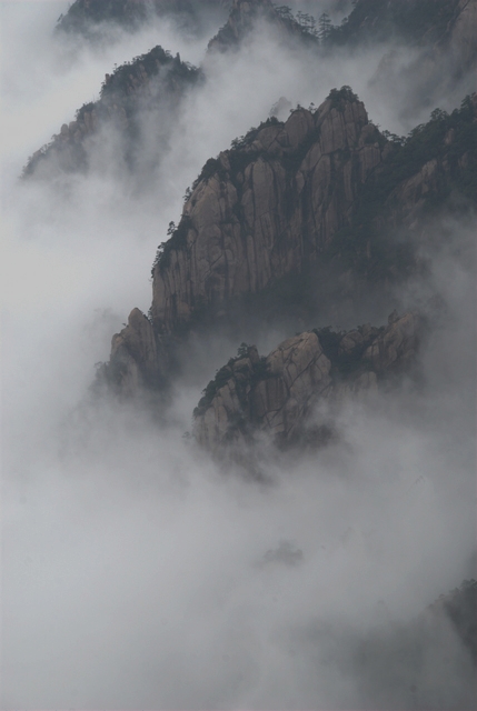 水墨黄山 摄影 shenwx