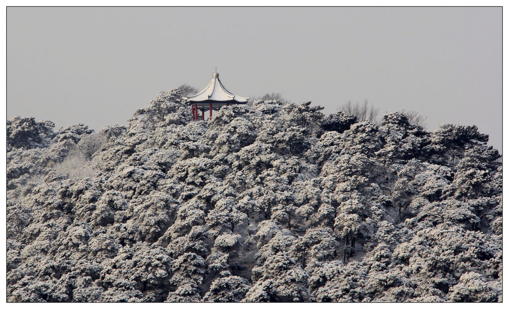 银装素裹 摄影 冰峰雪莲