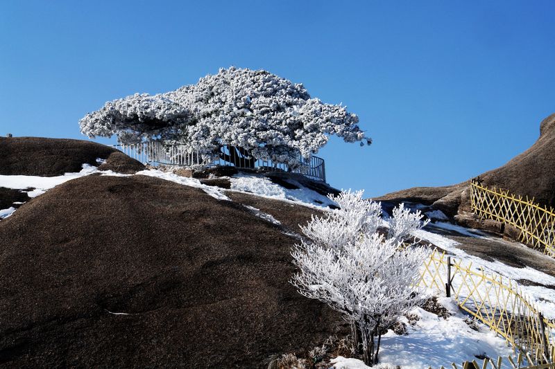 黄山雪景 摄影 老咪