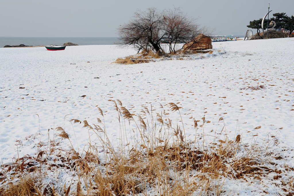 雪撒海滩 摄影 liran46