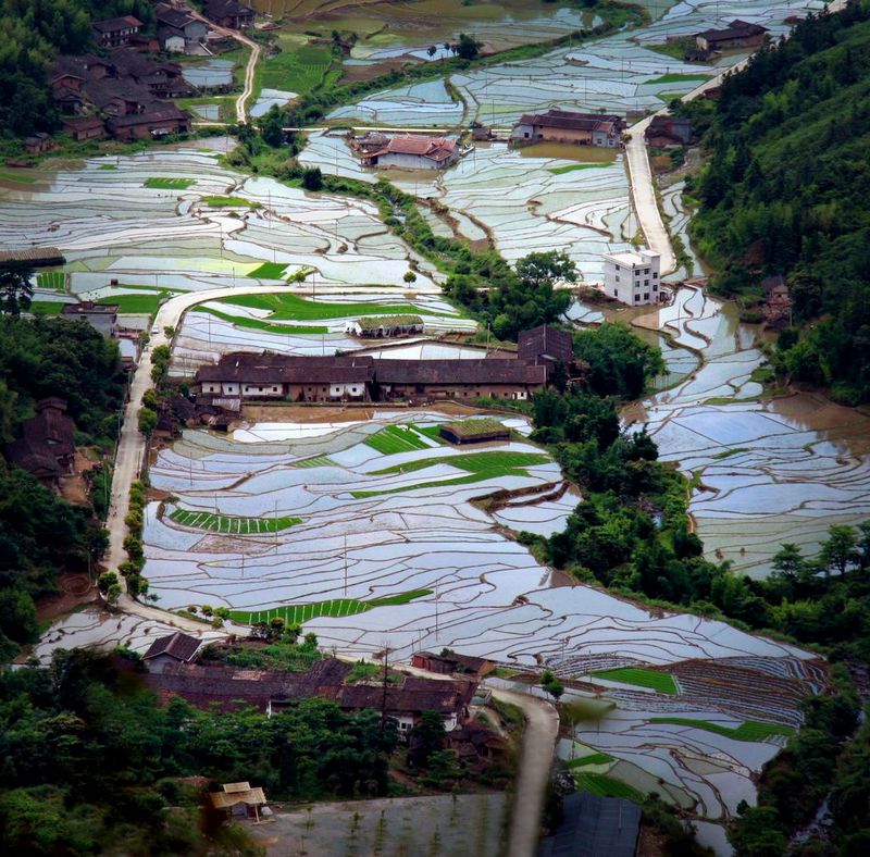 田野 摄影 原味咖啡