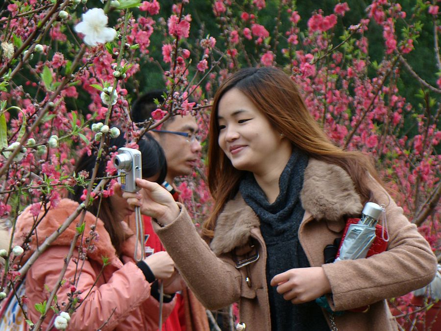 春来桃开早 花色迷人醉 摄影 快乐之斿