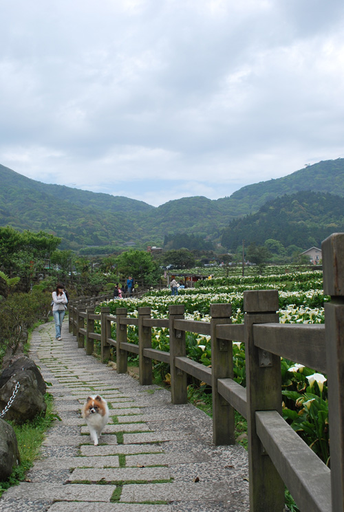 台北 – 杨民山8 摄影 七滨逍遥