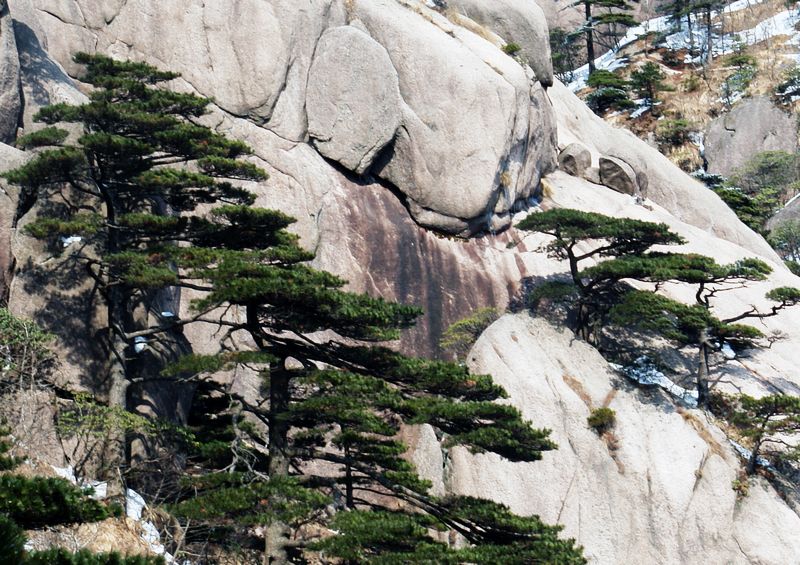 黄山风景 摄影 老咪