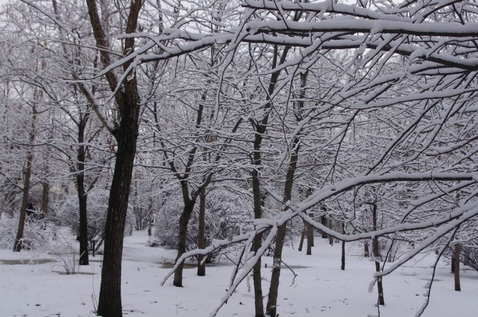 沈城二月雪 摄影 本模本样