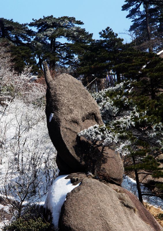 黄山风景 摄影 老咪