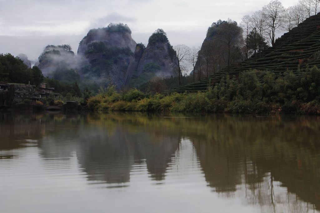 雨雾丹影 摄影 郑大山人