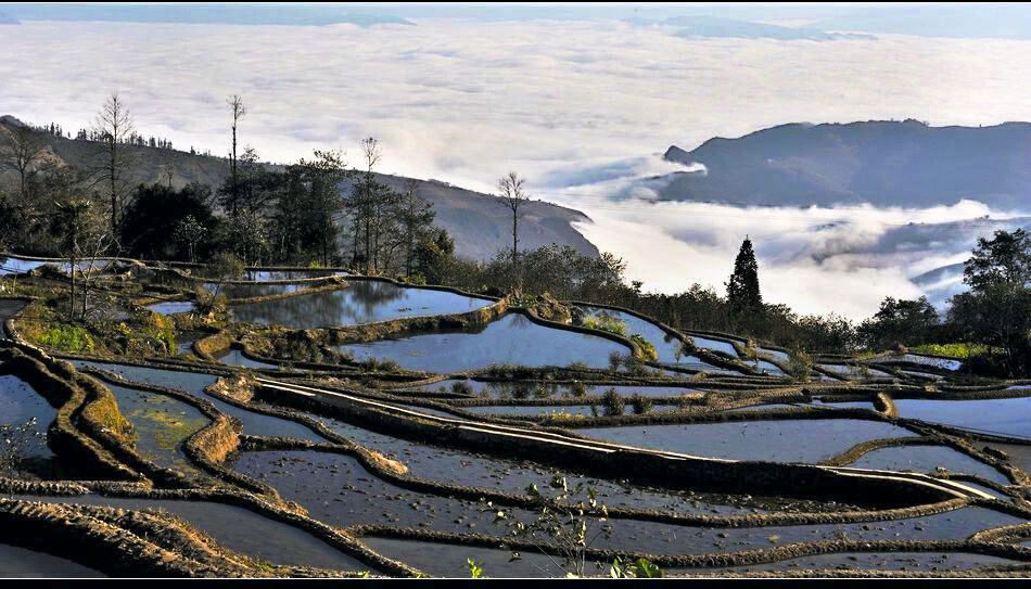 云海.梯田 摄影 九里堤