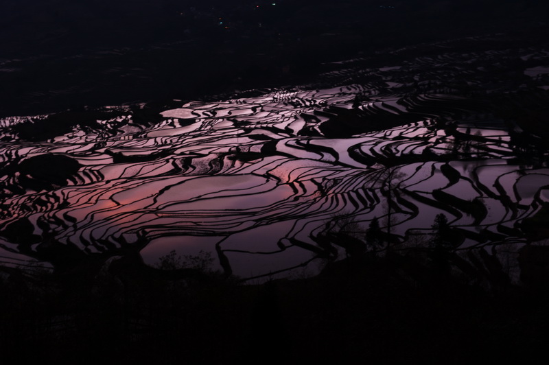 梯田 夕阳红 摄影 华370909