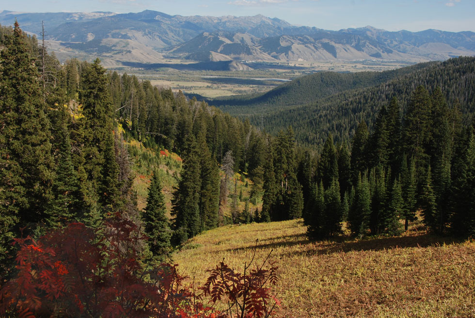 JACKSON HOLE 摄影 皋岚