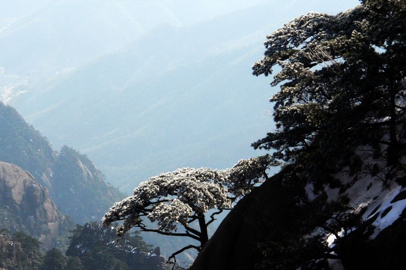 黄山风景 摄影 老咪