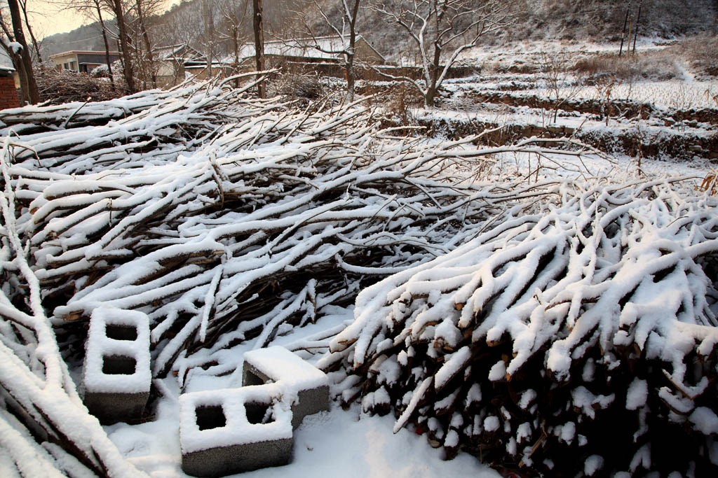 雪后的村边 摄影 湛思