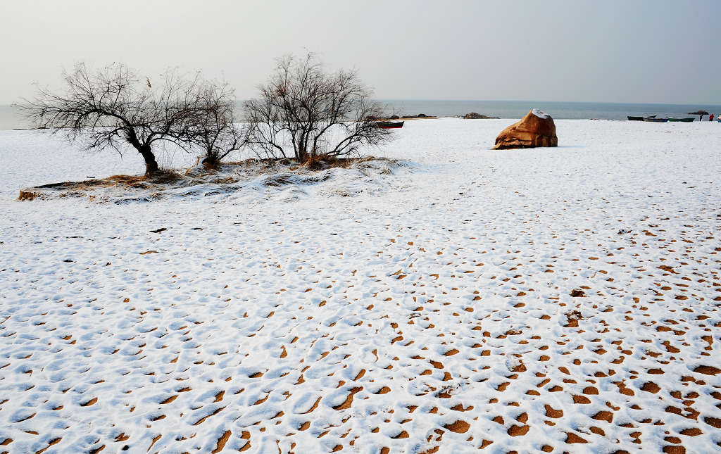 雪后海滩 摄影 liran46