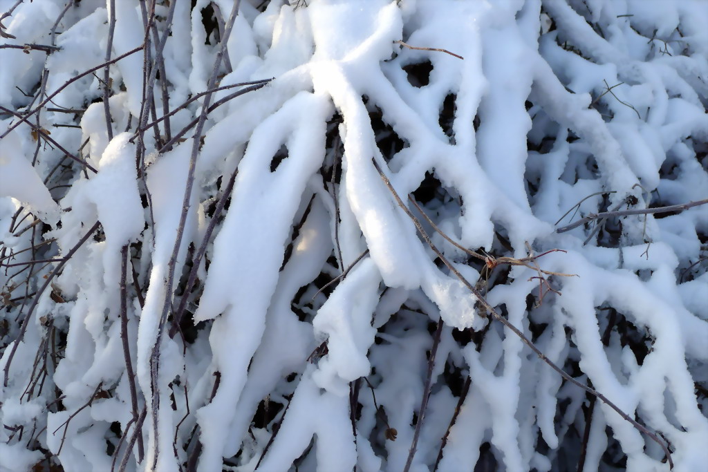 家乡三月的雪景1 摄影 QQ625922869