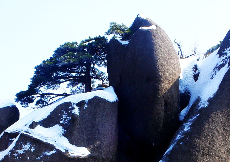 黄山风景 摄影 老咪