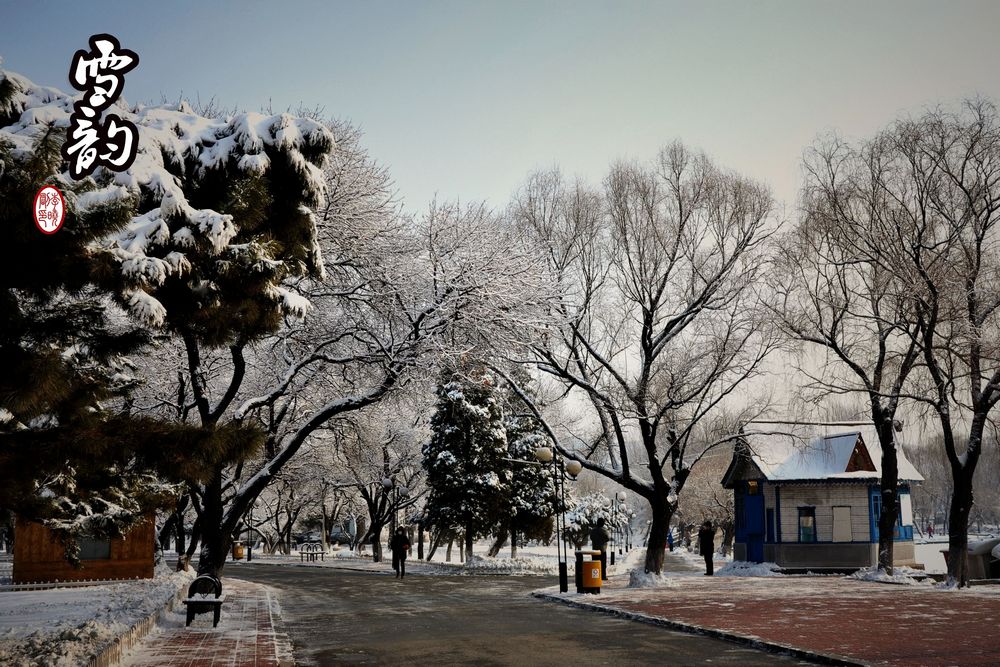 春雪 摄影 as三原色