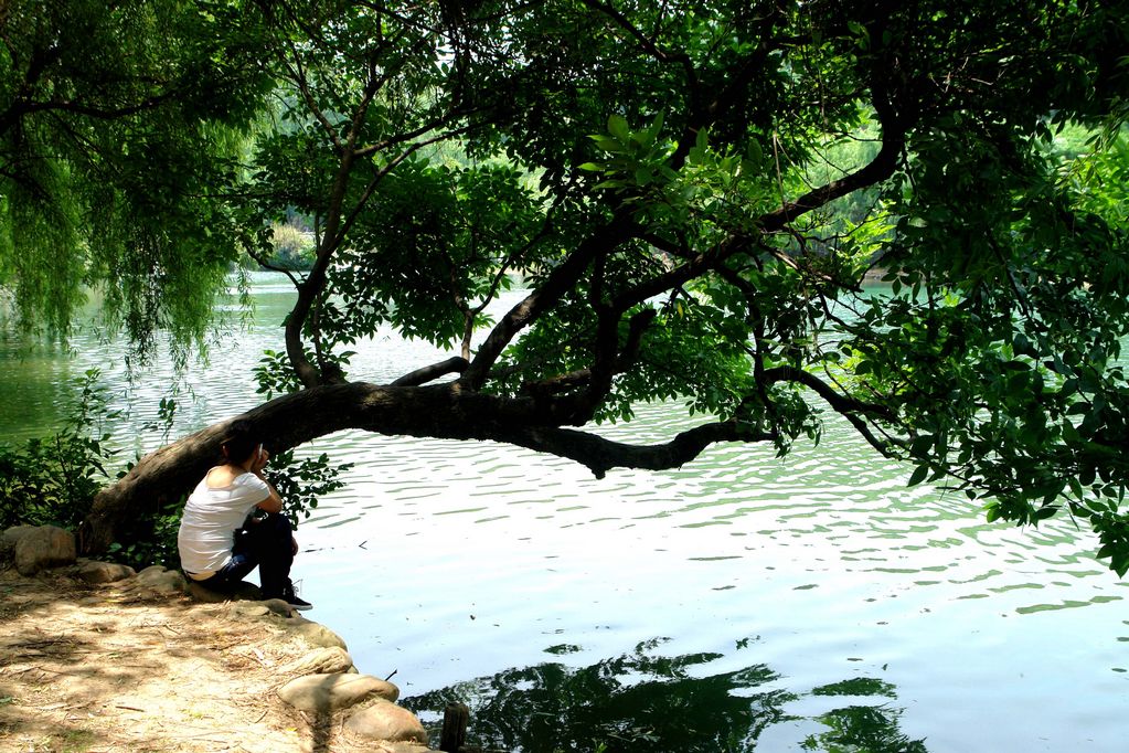 水韵花溪（七） 摄影 九黎后裔