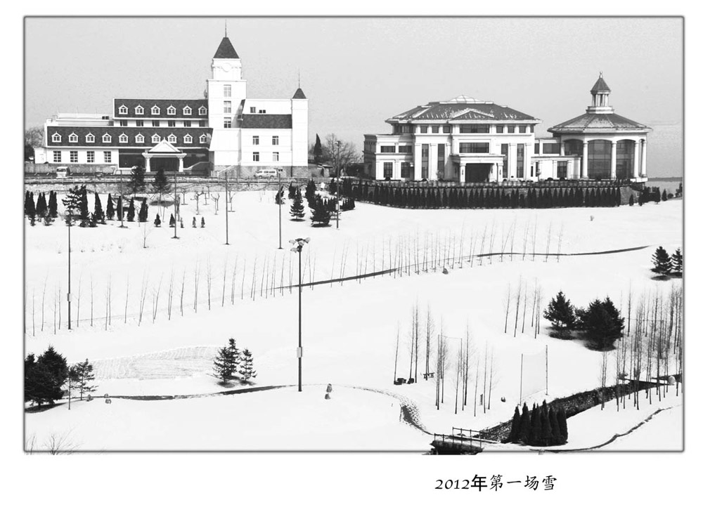 棒棰岛，大连 摄影 杨树叶119