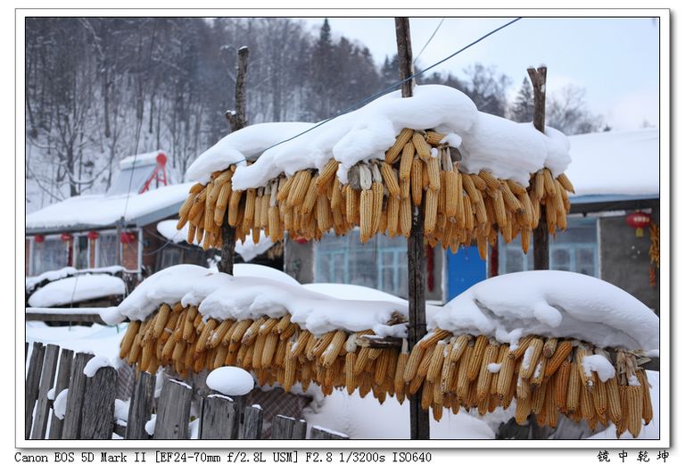 雪乡农家 摄影 镜中乾坤