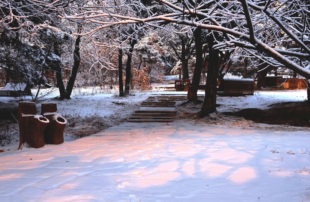 雪霁8 摄影 找乐儿