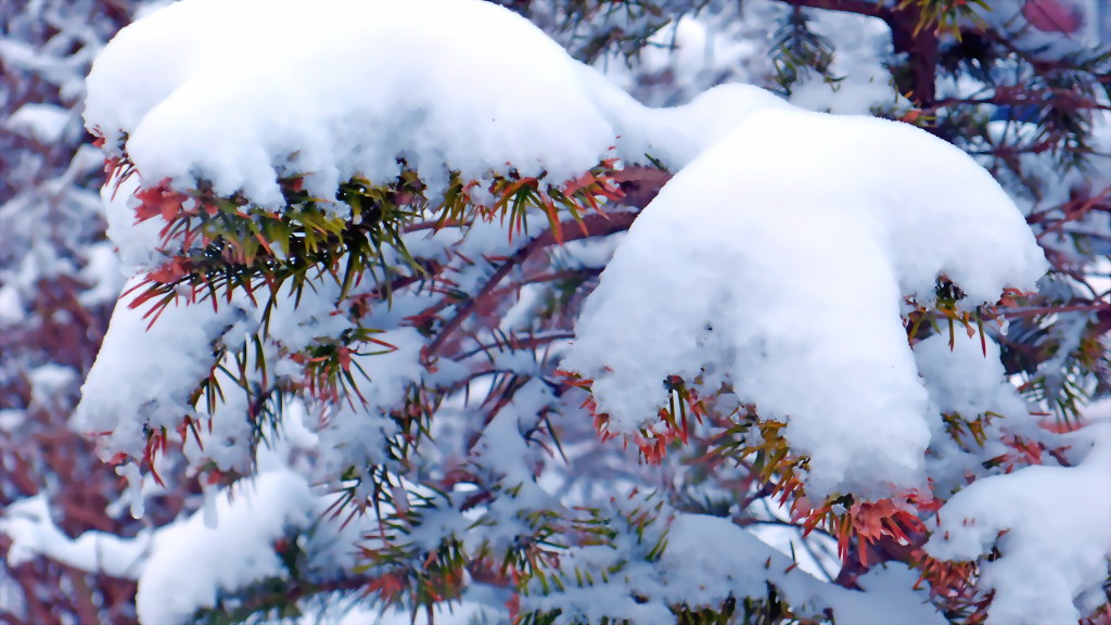 家乡三月的雪景4 摄影 QQ625922869