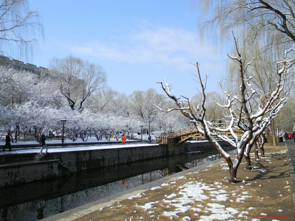 定格2012第一场雪 摄影 奋进阁主人