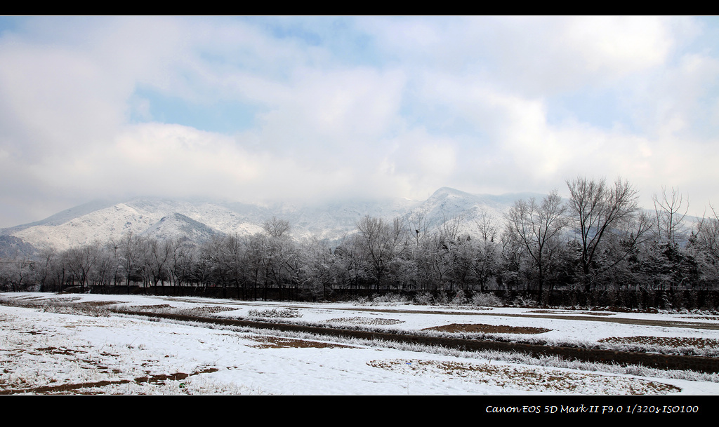 春雪 摄影 wbrobert