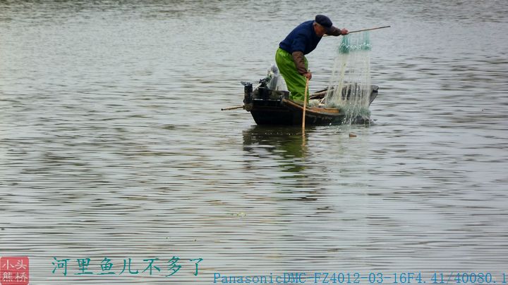 江南大河少见鱼 摄影 头桥小熊