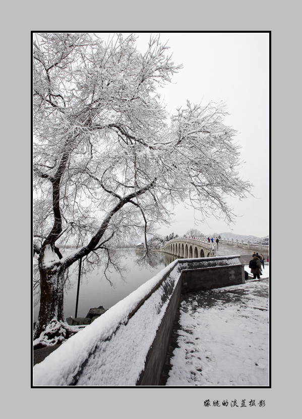 北京下雪了~ 摄影 朦胧的淡蓝