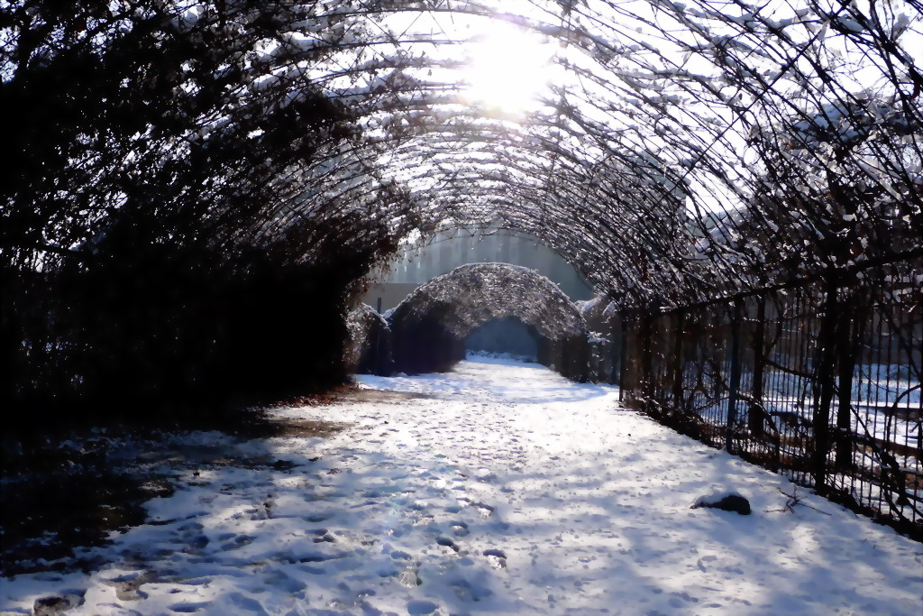 家乡三月的雪景2 摄影 QQ625922869