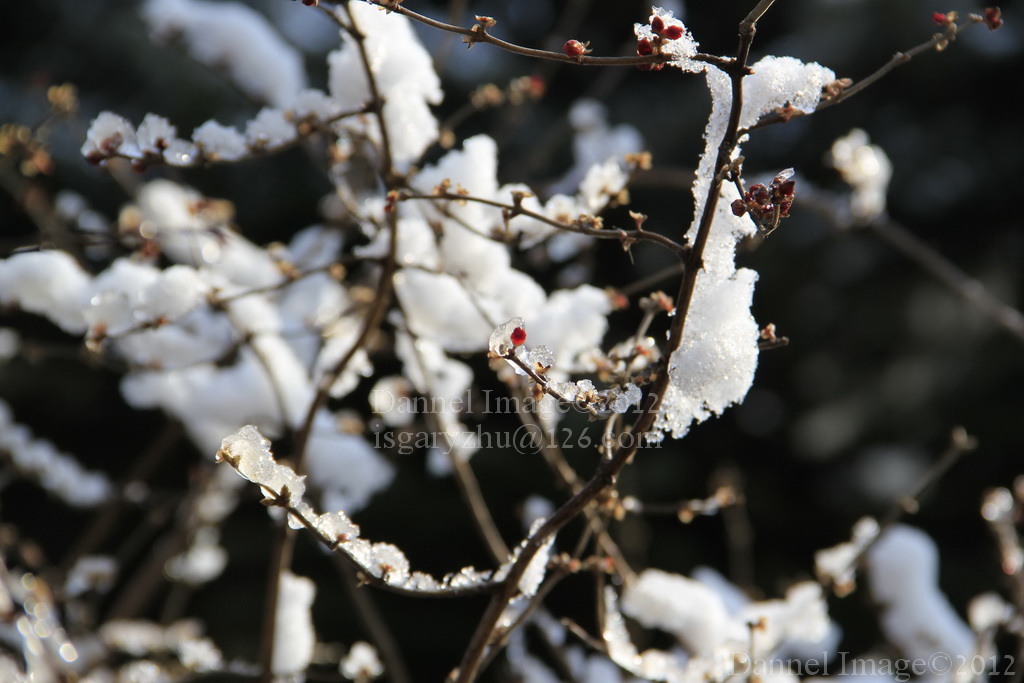 冰雪传奇 摄影 Dannel