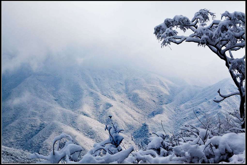 蟒山春雪 摄影 京北老张