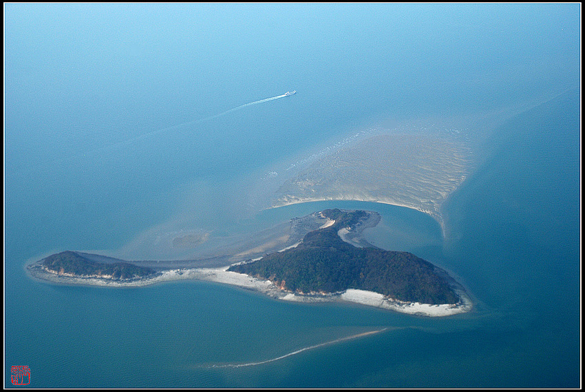 飞越海洋 摄影 zhangxunyong