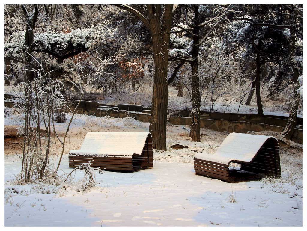 这里的黎明静悄悄 摄影 冰峰雪莲