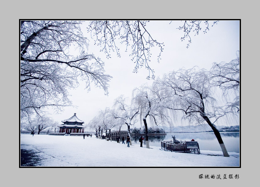 雪~ 摄影 朦胧的淡蓝