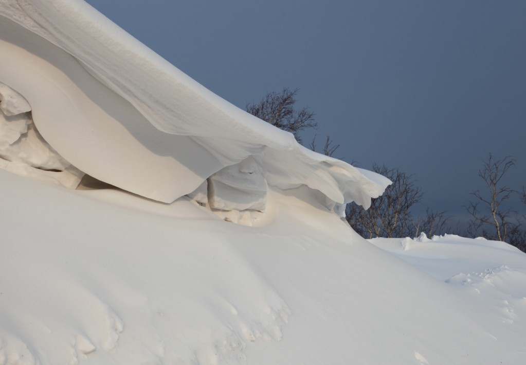 雪 摄影 千斗