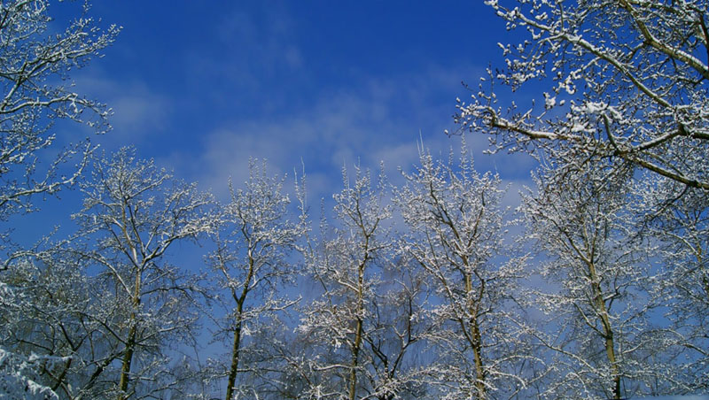 北京春雪 摄影 步尘