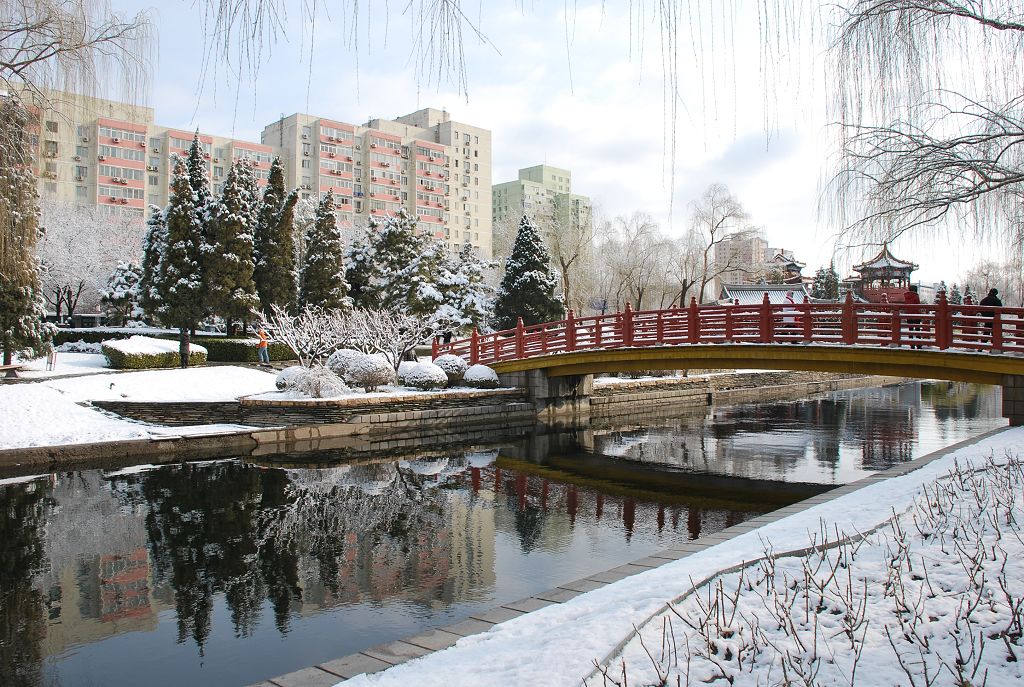 雪后即景 摄影 原原