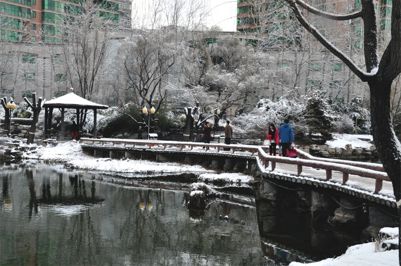 拍照 摄影 mangyangxiao