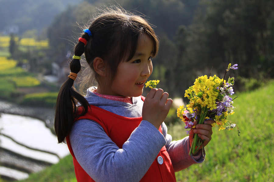 油菜花儿香 摄影 东方宝石