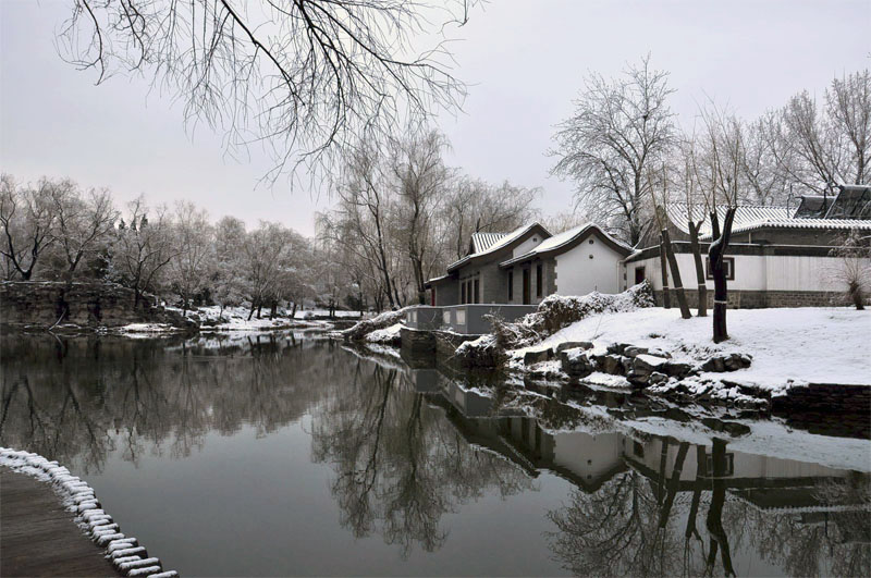 冬末初春的“雪” 摄影 mangyangxiao