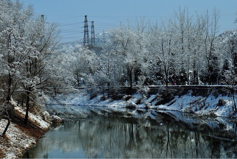 春雪· 摄影 别丢下我