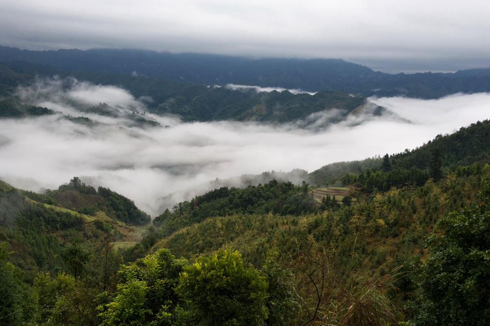 梦幻大瑶山 摄影 LCLZ