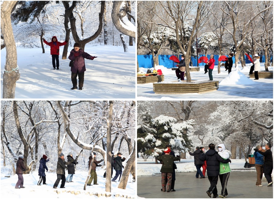 沈阳的冬天——踏雪晨练 摄影 石泉山人