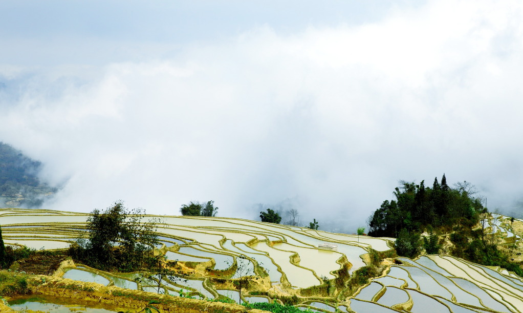 山间小景    （可放大） 摄影 qcsrhxz