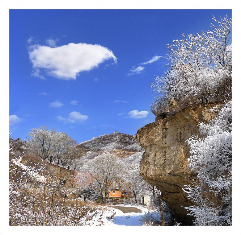 春雪—5 摄影 高枕无忧