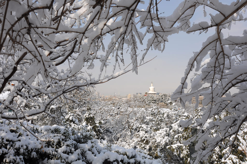 雪霁 摄影 短脚猫