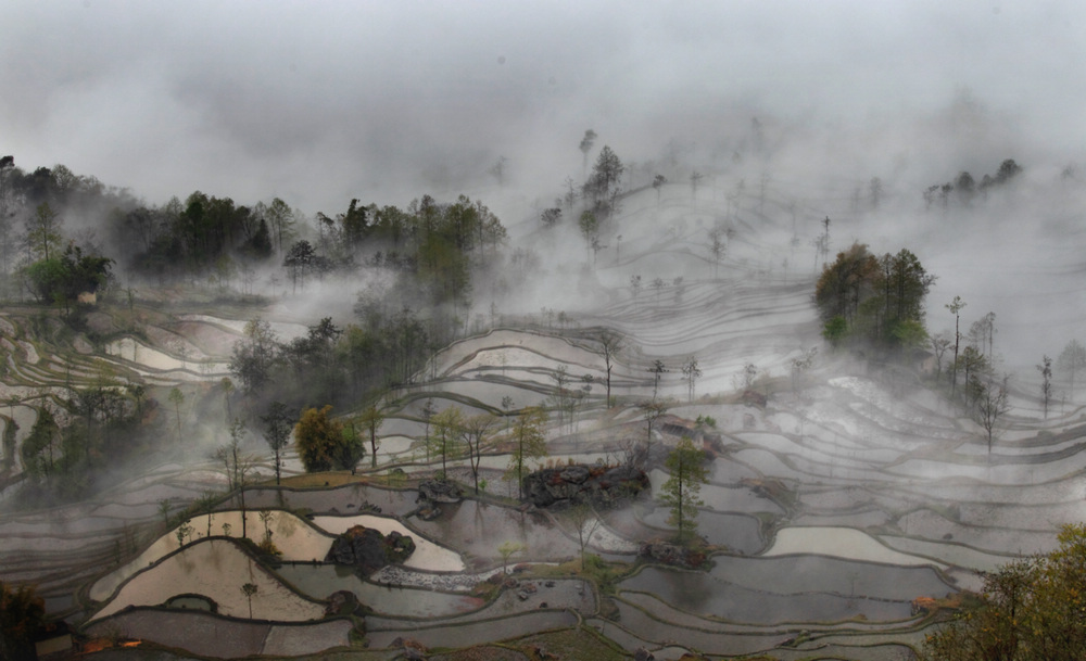 烟雨江南 摄影 龙溪居主